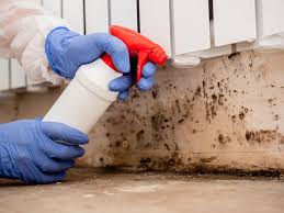 Best Mold Remediation for Vacation Homes  in USA